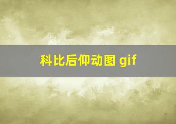 科比后仰动图 gif